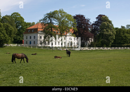 Europa, Deutschland, Schleswig Holstein, Panker, Gut Panker Foto Stock