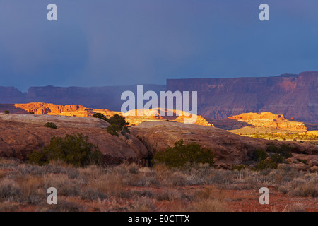 Avvicinando temporale, gli aghi, il Parco Nazionale di Canyonlands, Utah, Stati Uniti d'America, America Foto Stock