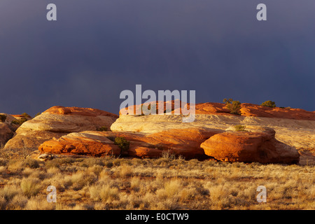 Avvicinando temporale, gli aghi, il Parco Nazionale di Canyonlands, Utah, Stati Uniti d'America, America Foto Stock