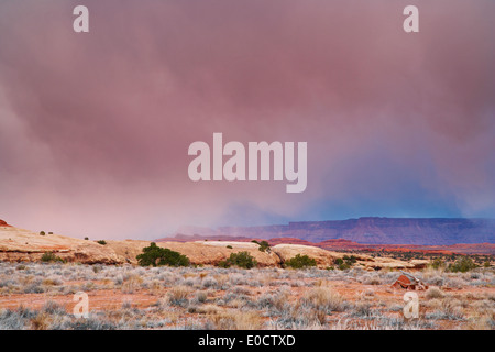 Avvicinando temporale, gli aghi, il Parco Nazionale di Canyonlands, Utah, Stati Uniti d'America, America Foto Stock