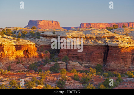 Gli aghi, il Parco Nazionale di Canyonlands, Utah, Stati Uniti d'America, America Foto Stock