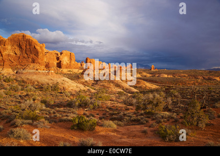 Vista sul parco Nazionale di Arches, Utah, Stati Uniti d'America, America Foto Stock