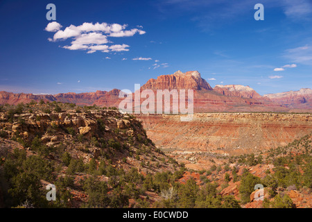 Vista dal Smithsonian Butte Scenic Byway al Parco Nazionale Zion, dello Utah, dell'Arizona, USA, America Foto Stock