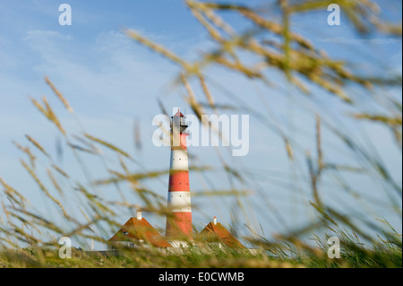 Faro di Westerheversand sale e prati, Westerhever, il Wadden Sea National Park, Eiderstedt penisola a nord delle Isole Frisone, Foto Stock