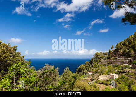 Costa mediterranea road, station wagon con terreno terrazzato, Banyalbufar, Mallorca, Spagna Foto Stock