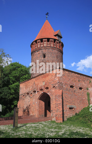 Castello porta e torre, Tangermuende, Tangermünde, Elbe pista ciclabile, Altmark, Sachsen-Anhalt, Germania, Europa Foto Stock