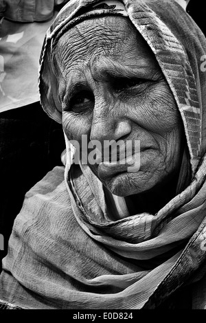 L'Italia, Emilia Romagna, Novellara, Baisakhi festival Foto Stock