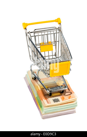 Carrello spesa si erge sulle banconote, foto simbolica per lo shopping, il potere di acquisto, stampa monetario e il tasso di inflazione, Einkaufswagen st Foto Stock