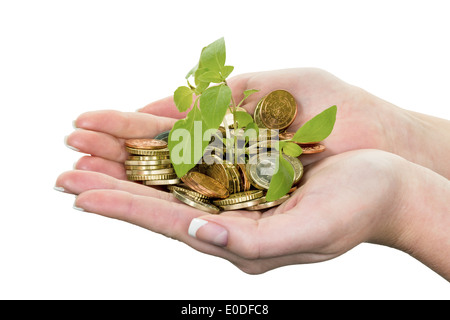 Il denaro e la pianta. Foto simbolico per il salvataggio prima di sfondo bianco, Geld und Pflanze. Symbolfoto fuer Sparen vor Hinterg weissem Foto Stock