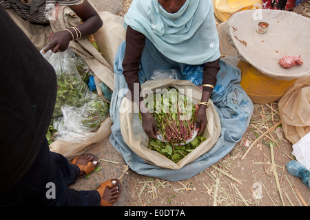 Khat in vendita in un mercato di Harar, Etiopia. Foto Stock