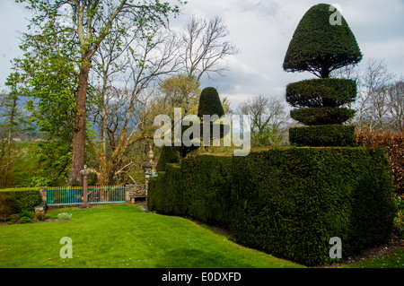 Topiaria da e la scultura Plas Brodanw giardino, il Galles del Nord Foto Stock