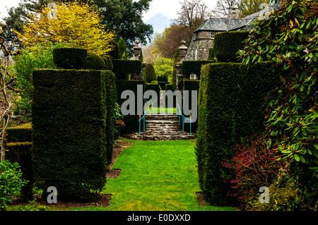 Topiaria da e passaggi, Plas Brodanw giardino, il Galles del Nord Foto Stock