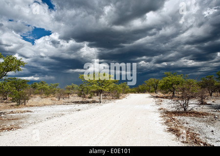 Una vista panoramica di un lontano temporale il Parco Nazionale di Etosha Namibia Foto Stock