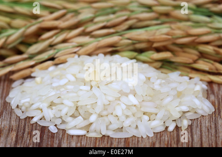 Paddy semi con il riso su una superficie di legno Foto Stock