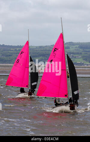 Yacht racing West Kirby Sailing Club, Liverpool. Maggio 2014; Pell & Millard al British Open Team Racing Championships Trophy 2014. I 200 velisti di classe olimpica della Premier League Sailing ‘The Wilson Trophy’ gareggiano annualmente sul lago marino di Kirby in uno degli eventi più amati del mondo, dove centinaia di spettatori seguono 300 corse brevi e frenetiche in tre squadre di barche che battono sul porto per ottenere l’ambito titolo: “Wilson Trophy Champion”. Foto Stock