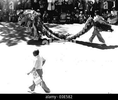 La Chinese Dragon Parade è un evento importante a Lethbridge, Alberta, celebrato con vivaci esposizioni come il drago cinese. La parata, che fa parte della mostra del museo Galt locale, presenta diverse rappresentazioni culturali e richiama l'attenzione su varie regioni e eventi storici. L'occasione si svolge ogni anno in varie città, tra cui negli Stati Uniti e in Canada. Foto Stock