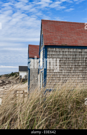 Semplice beach cottage, Truro, Cape Cod, Massachusetts, STATI UNITI D'AMERICA Foto Stock