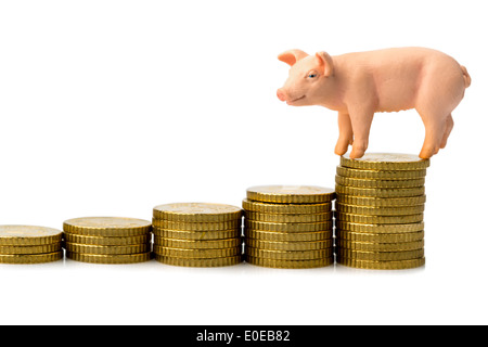 Un maiale sorge su una pila di monete. Aumento dei costi per i mangimi nell'agricoltura. Naufragio rese con la carne di maiale, Ein Schwein steht auf e Foto Stock