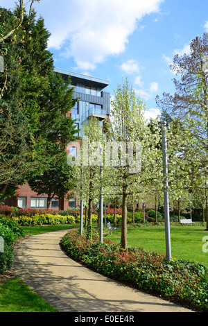 Primavera fioriscono, Memorial Gardens, Staines-upon-Thames, Surrey, England, Regno Unito Foto Stock