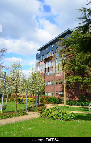 Primavera fioriscono, Memorial Gardens, Staines-upon-Thames, Surrey, England, Regno Unito Foto Stock