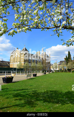 Primavera fioriscono, Memorial Gardens, Staines-upon-Thames, Surrey, England, Regno Unito Foto Stock