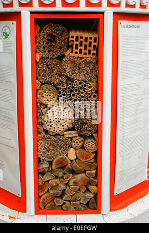 Una scatola di nidificazione per diverse specie di bee e wasp istituito in un tedesco riserva naturale. Foto Stock