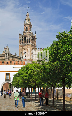 La torre Giralda, Siviglia, Spagna Foto Stock