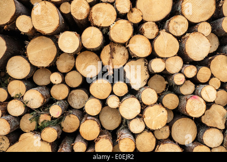 Primo piano di un pelo di legno ben impilato, che mostra la bellezza del legno naturale. Foto Stock