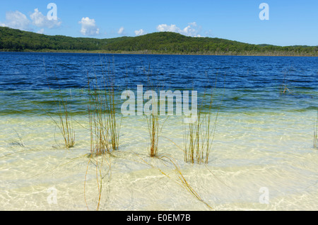 Lago Birrabeen, l'Isola di Fraser, Queensland, QLD, Australia Foto Stock