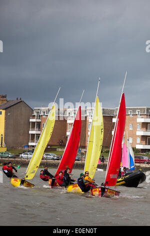 West Kirby, Liverpool, Regno Unito. 11 maggio 2014. DHL Express Team imbarcazioni presso il British Open Team Racing Campionati Trophy 2014. Barca a vela di Premier League " Il Trofeo Wilson' 200 Olympic-class marinai competere annualmente su Kirby's anfiteatro marino in uno del mondo eventi preferiti dove migliaia di spettatori seguono 300 breve, sharp delirante gare in tre squadre di barca spintoni su un lago delle dimensioni di un campo di calcio per guadagnare il prestigioso titolo: "Wilson campione del Trofeo." Credito: Cernan Elias/Alamy Live News Foto Stock