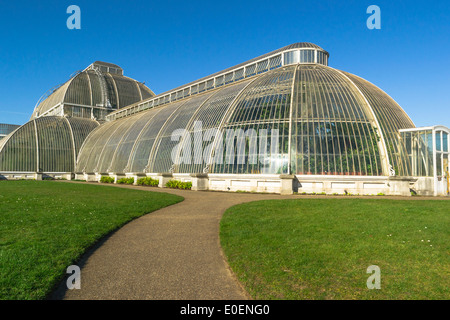 La casa di vetro di Kew Garden, il famoso erbario botanico in Londra, Regno Unito Foto Stock
