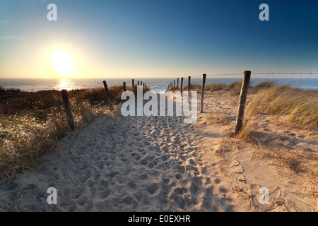 Percorso sulla sabbia spiaggia del mare del Nord in sunset, Zandvoort aan Zee, North Holland, Paesi Bassi Foto Stock