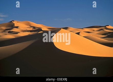 Le dune di sabbia, Erg Chebbi, Marocco Foto Stock