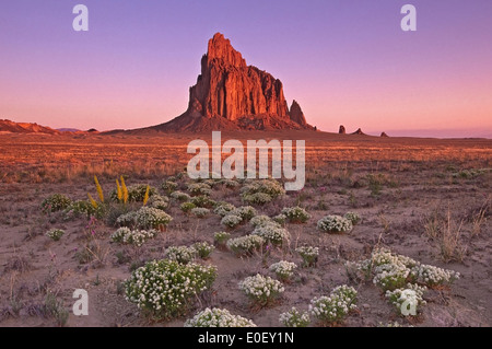 Fiori selvaggi e Shiprock, Nuovo Messico USA Foto Stock