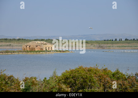 Il Bird watching, Punto di Vendicari Riserva Naturale, Provincia di Siracusa, Sicilia, Italia Foto Stock