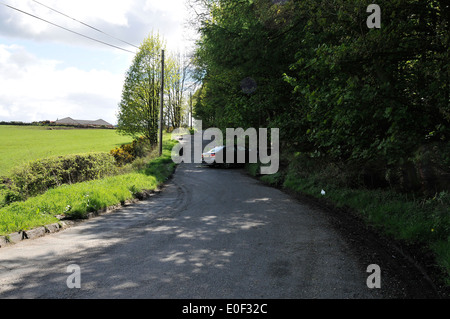 Car crash con un albero Foto Stock