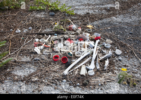 Resti di morti Laysan albatross con i tappi di bottiglia e altra plastica detriti marini che sono state ingerite mediante l'uccello e rimase nel suo stomaco Foto Stock