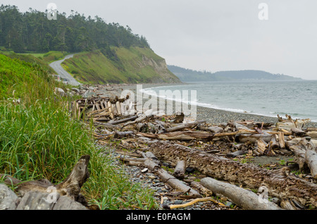 Scogliere dall'oceano e sulla spiaggia di Whidbey Island, nello Stato di Washington, U.S.A. Foto Stock