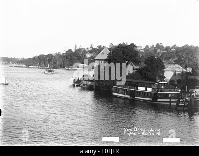 Vista dal Figtree Bridge a Hunters Hill, New South Wales, con un paesaggio con alberi, cespugli e un treno in lontananza. La scena mette in mostra la bellezza naturale della zona, insieme a edifici storici e vegetazione. Foto Stock