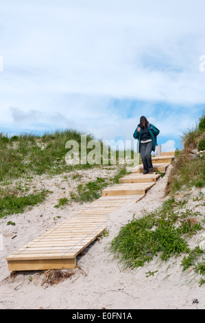 Fasi attraverso le dune su Deerness, Orkney. Per proteggere contro il sentiero di erosione. Foto Stock