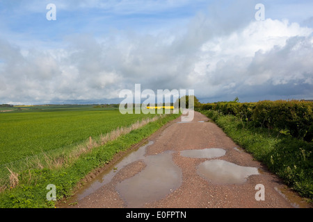 Una fattoria rurale via con pozzanghere in esecuzione attraverso la paesaggistica campagna agricola in Yorkshire wolds, Inghilterra in primavera Foto Stock