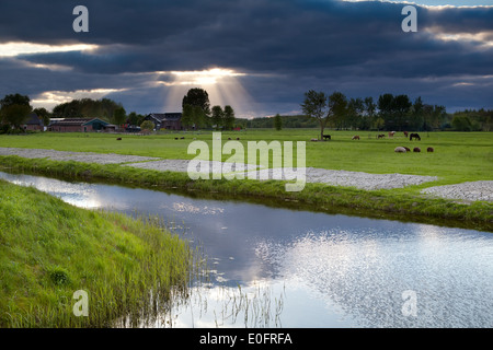 Raggi di sole attraverso la tempesta cielo sopra il terreno coltivabile, Paesi Bassi Foto Stock