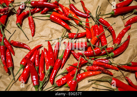 Peperoncino rosso di essiccazione al sole Foto Stock