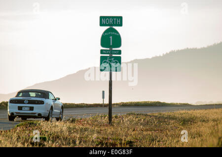 Cambria, California, Stati Uniti d'America. Il 12 maggio 2014. Un segno sulla California Route 1 si erge sul lato della strada sulla costa centrale della California. Un 123-miglio itinerario panoramico lungo la central California Coast impiega circa cinque ore per completare e comprende sia il Big Sur Coast Highway e il San Luis Obispo North Coast Byway. Credito: Jonathan Alcorn/ZUMAPRESS.com/Alamy Live News Foto Stock