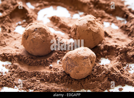 In casa di rotolamento tartufi di cioccolato in polvere di cacao Foto Stock