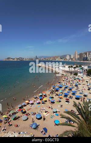 La vita in spiaggia, vista in estate, Costa Blanca, Benidorm, PROVINCIA Alicante, Spagna Foto Stock