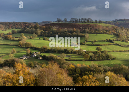 Vista dal lungo la camma verso il basso vicino a Dursley, Gloucestershire Foto Stock