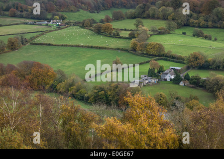 Vista dal lungo la camma verso il basso vicino a Dursley, Gloucestershire Foto Stock