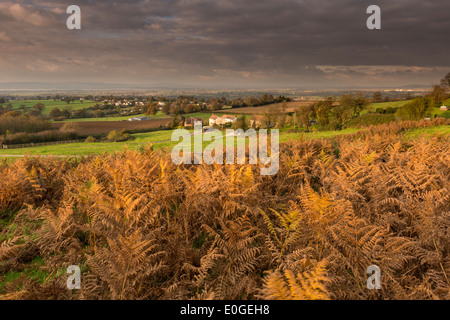 Vista dal picco giù vicino a Dursley, Gloucestershire Foto Stock