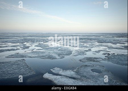 Ghiaccio galleggiante fogli al Mar Baltico, Angelholm, Svezia, Europa Foto Stock